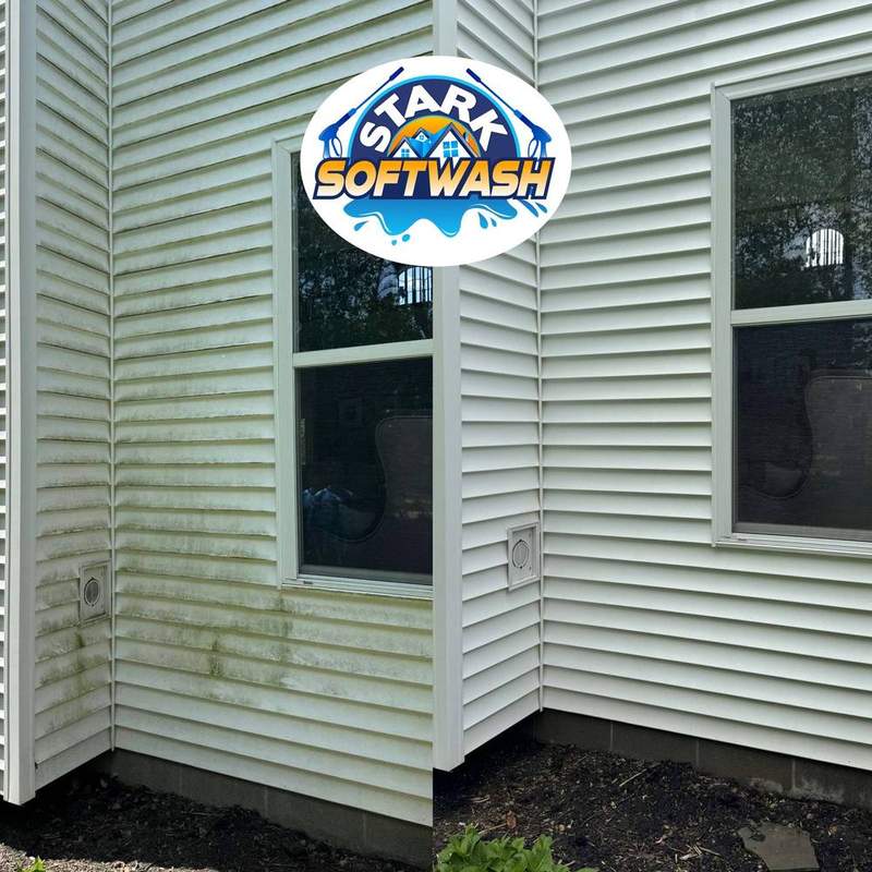 House washing - algae siding